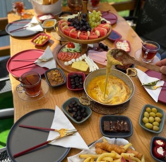 פנסיון İnoravadi