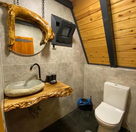 פנסיון İnoravadi