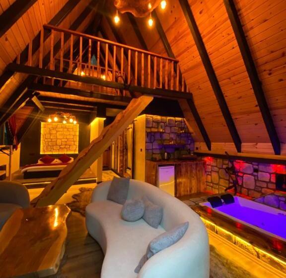 פנסיון İnoravadi