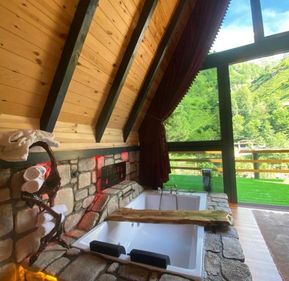 פנסיון İnoravadi