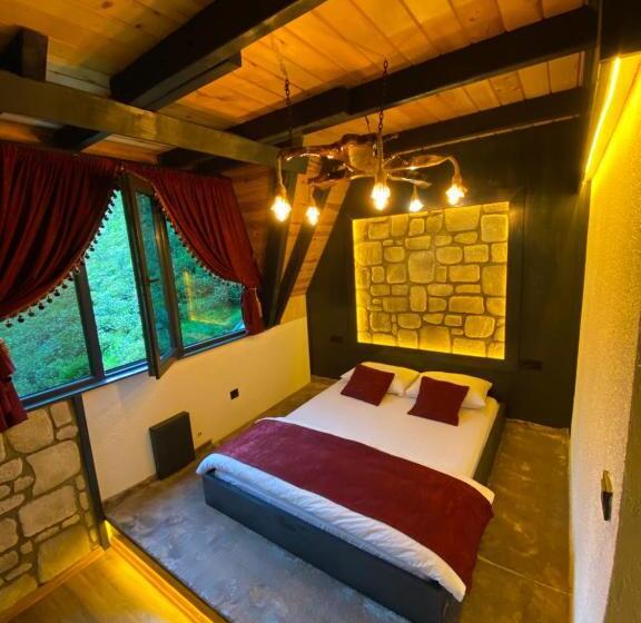 פנסיון İnoravadi