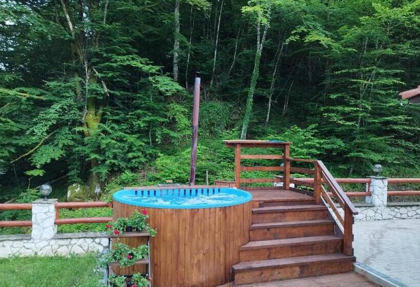 Pensiunea Perla Codrului