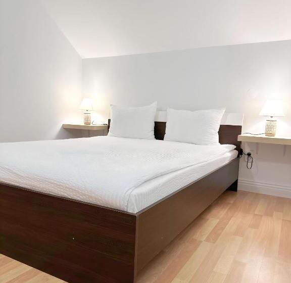 هاستل Hanul Lui Ionut 2