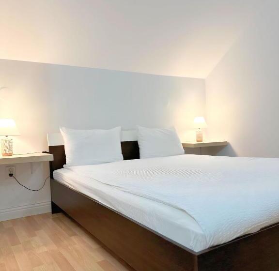 هاستل Hanul Lui Ionut 2