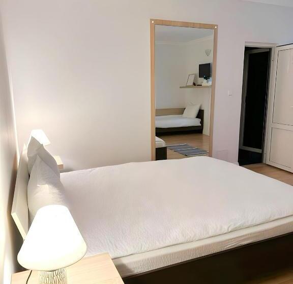 هاستل Hanul Lui Ionut 2