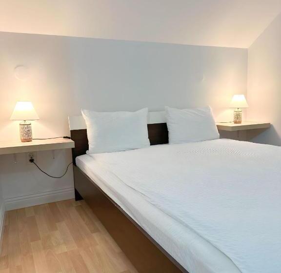 هاستل Hanul Lui Ionut 2