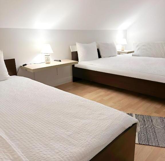 هاستل Hanul Lui Ionut 2