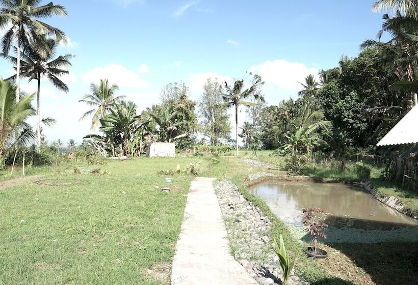 בית מלון כפרי Spot On 92699 Irish Irish Homestay