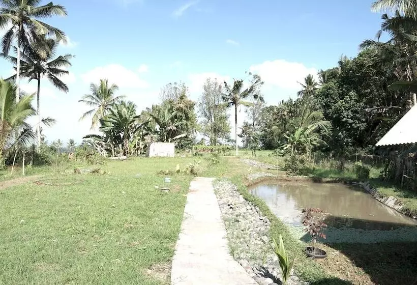 Hotelli Spot On 92699 Irish Irish Homestay