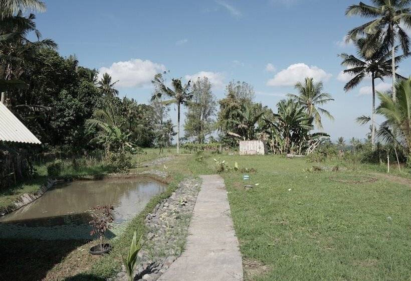 בית מלון כפרי Spot On 92699 Irish Irish Homestay