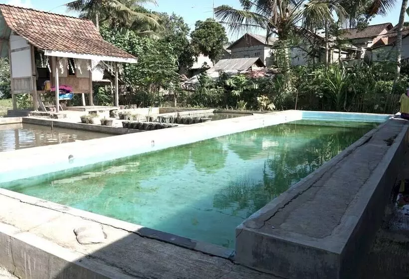 Hotelli Spot On 92699 Irish Irish Homestay