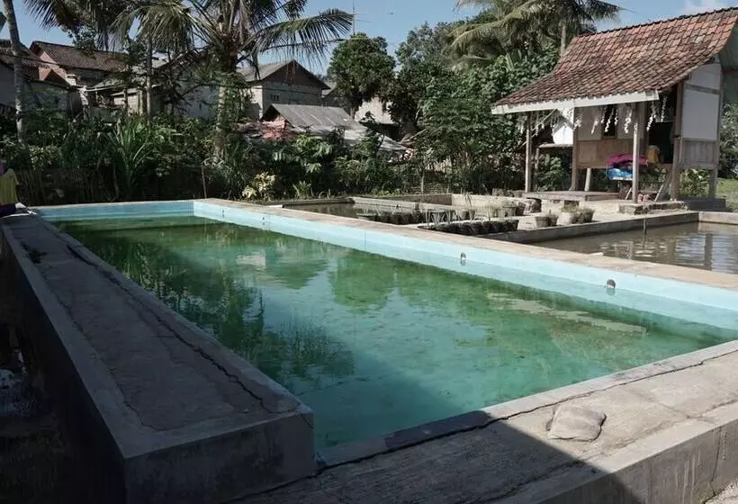 Hotelli Spot On 92699 Irish Irish Homestay