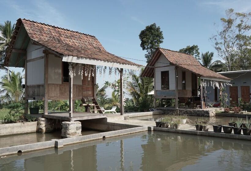 בית מלון כפרי Spot On 92699 Irish Irish Homestay