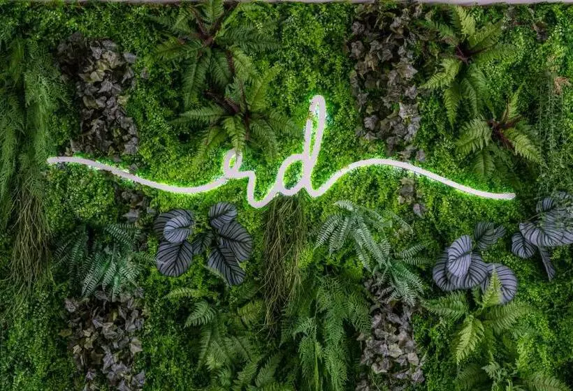 Rd Hotel Apartamento