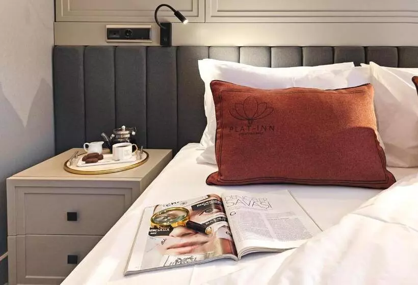 Plat Inn Hotel Taksim   Special Category