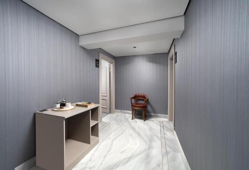 Plat Inn Hotel Taksim   Special Category