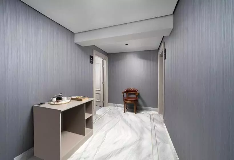Plat Inn Hotel Taksim   Special Category