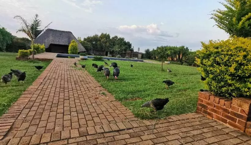 ペンション Ka Tembe Self Catering Lodge