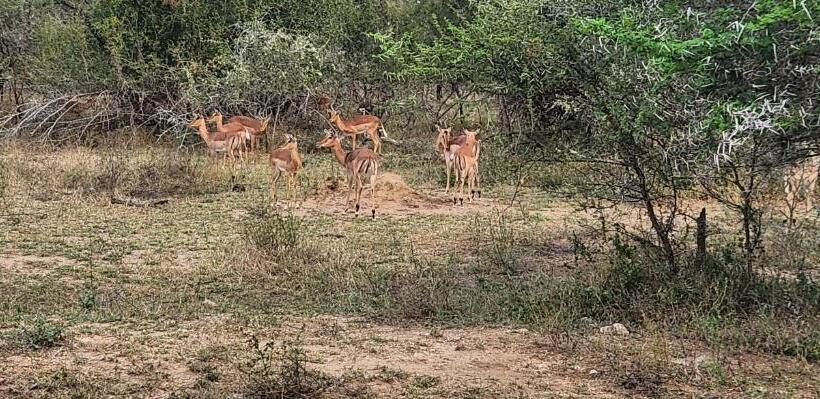 פנסיון Ka Tembe Self Catering Lodge