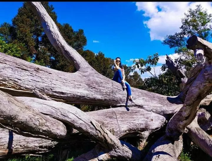 ユースホステル Refúgio Do Lago