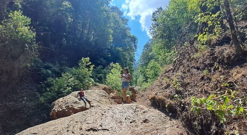 تختخواب و صبحانه Villa Chelsey