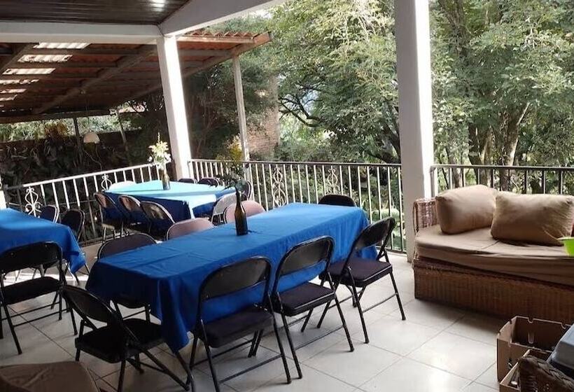 تختخواب و صبحانه Villa Chelsey