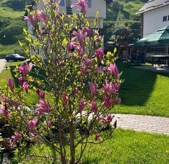 پانسیون Casa Mia