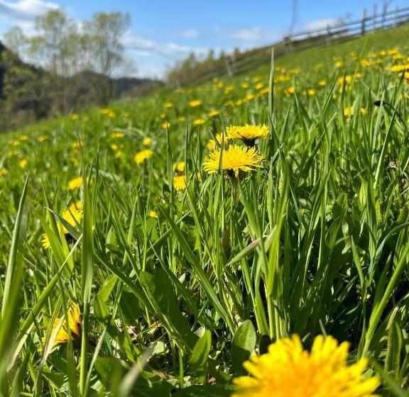 پانسیون Casa Mia