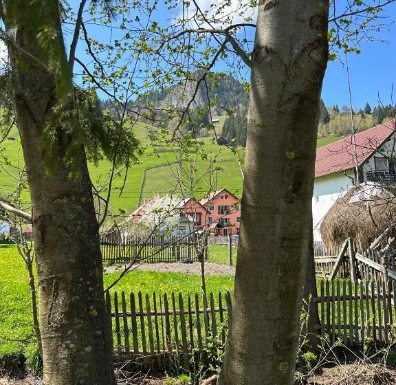 پانسیون Casa Mia