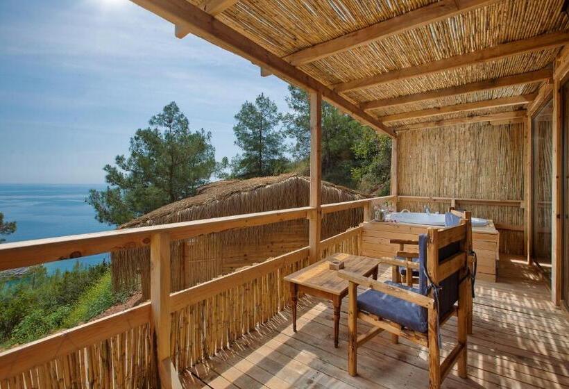 Bed and Breakfast Flavia