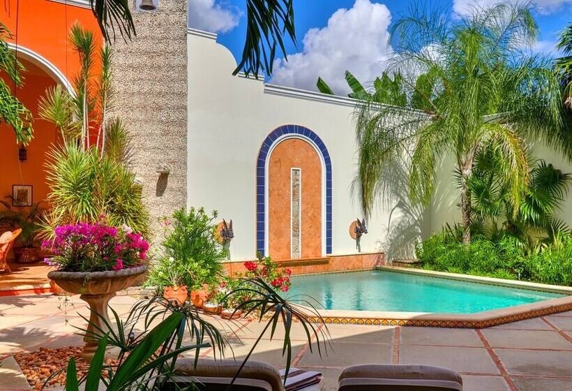 تختخواب و صبحانه Casa Oasis Guest House And Spa