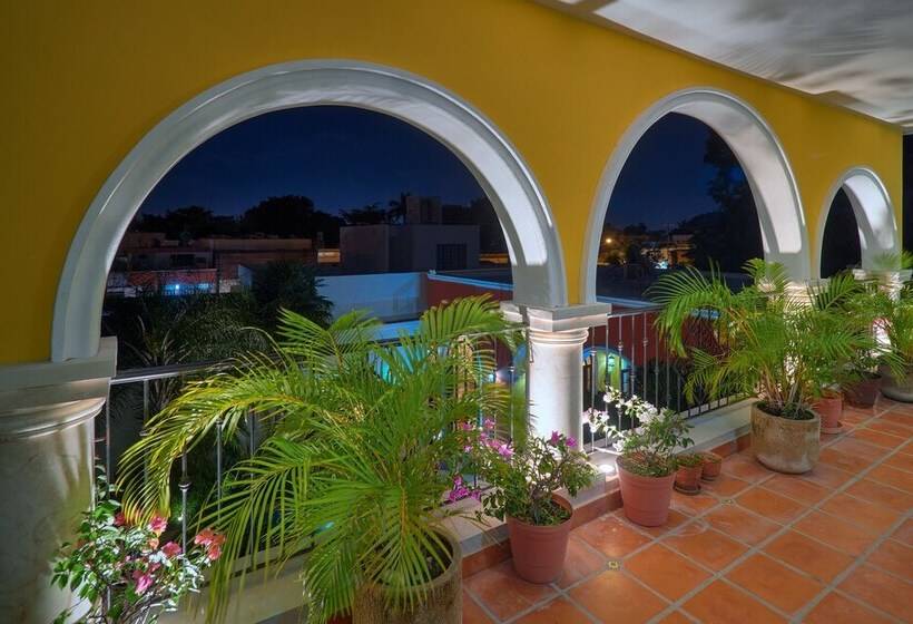 تختخواب و صبحانه Casa Oasis Guest House And Spa