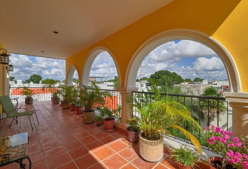 تختخواب و صبحانه Casa Oasis Guest House And Spa