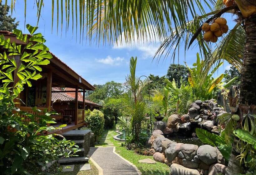 膳宿费 Virani Villa