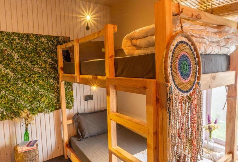 הוסטל Grease Moto Club Khangsar, Sissu