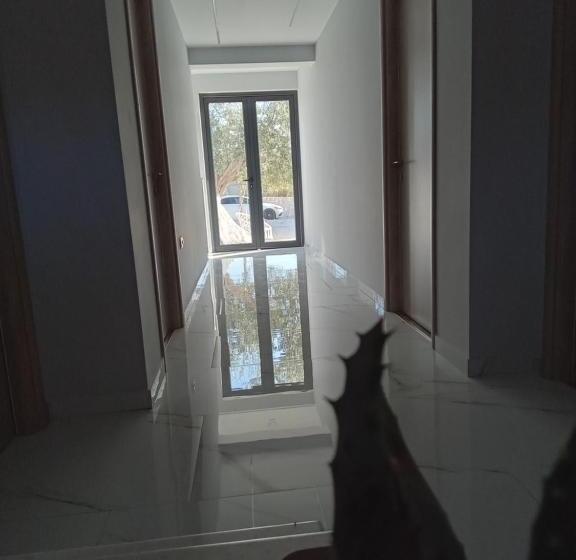 تختخواب و صبحانه Villa Tonia