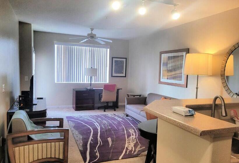 Disney Fullerton Homes And Lofts