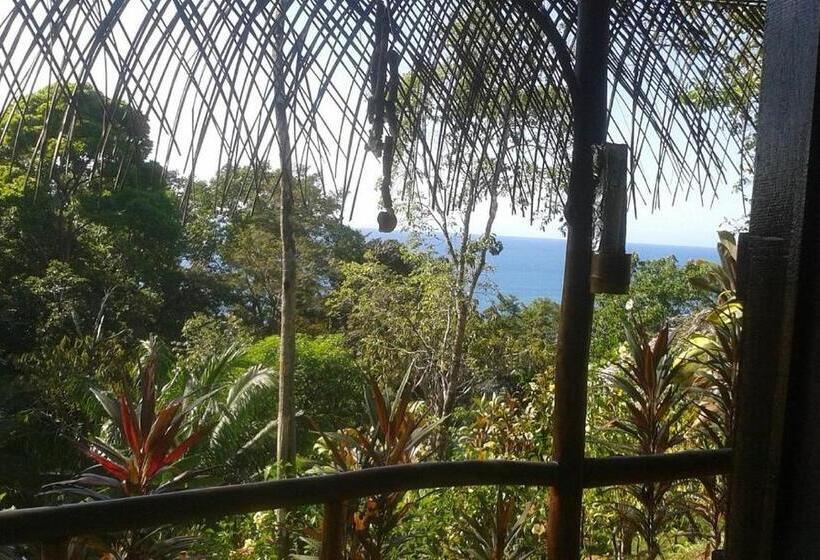 호텔 Vista Alta Ecolodge Bahia Drake