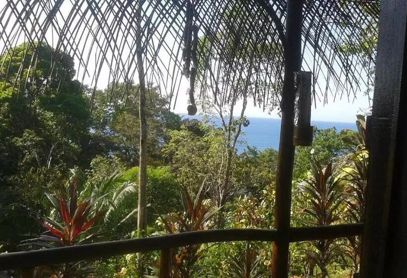 Hotelli Vista Alta Ecolodge Bahia Drake