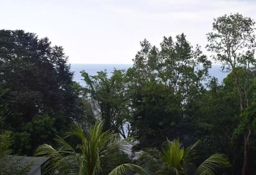 Hotelli Vista Alta Ecolodge Bahia Drake