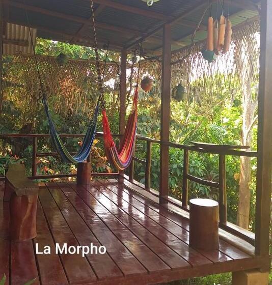 호텔 Vista Alta Ecolodge Bahia Drake