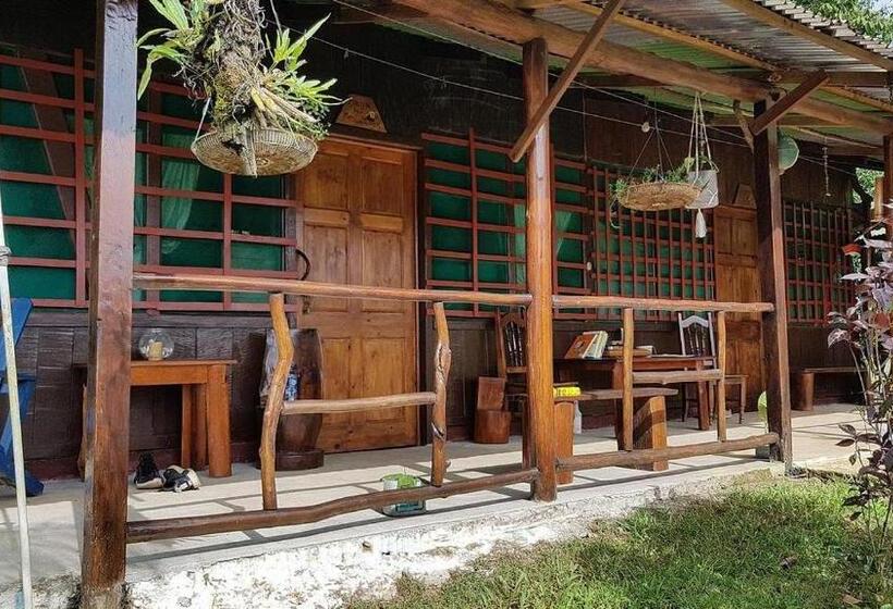 호텔 Vista Alta Ecolodge Bahia Drake