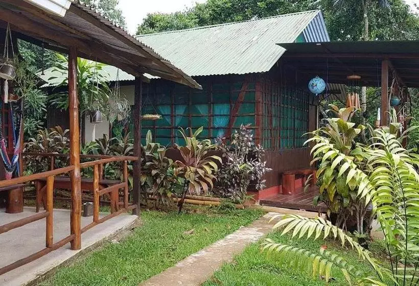 Hotelli Vista Alta Ecolodge Bahia Drake