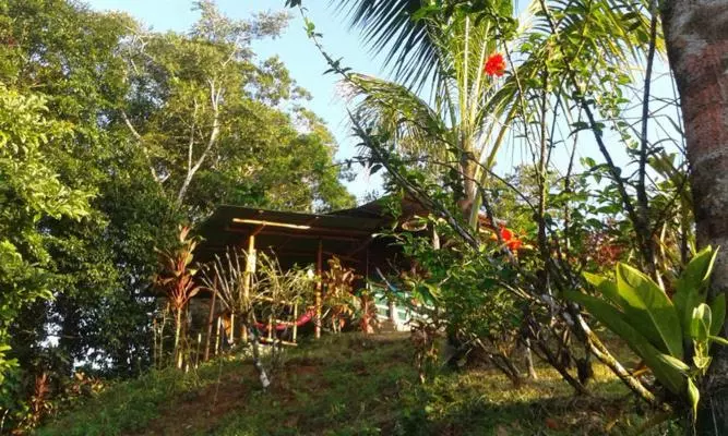 Hotelli Vista Alta Ecolodge Bahia Drake