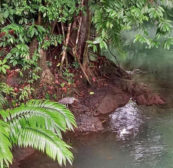 호텔 Vista Alta Ecolodge Bahia Drake