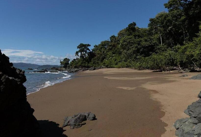 호텔 Vista Alta Ecolodge Bahia Drake