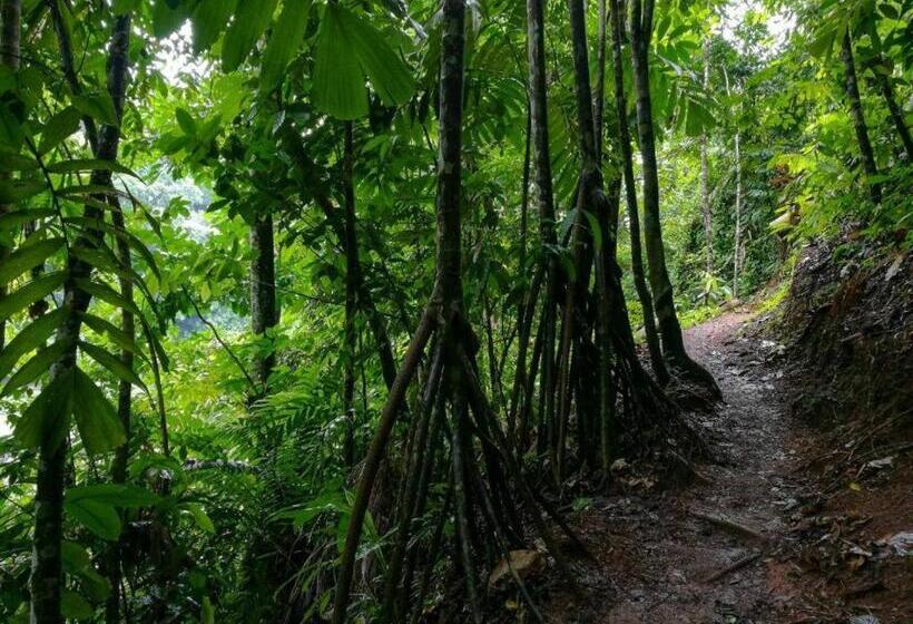 호텔 Vista Alta Ecolodge Bahia Drake