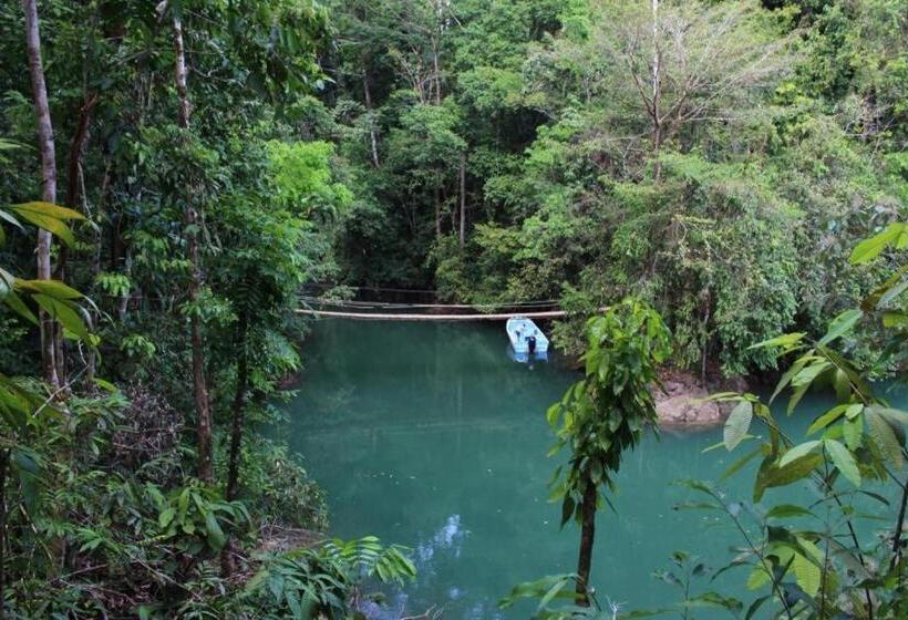 호텔 Vista Alta Ecolodge Bahia Drake