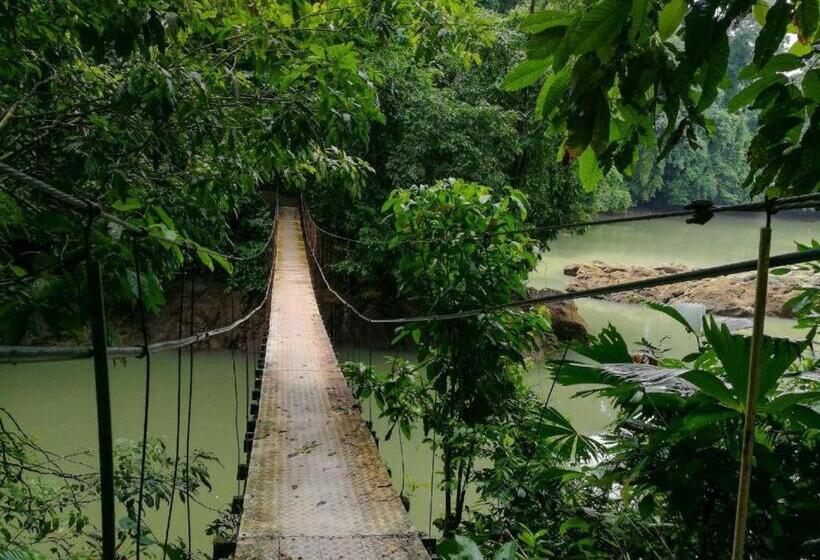 호텔 Vista Alta Ecolodge Bahia Drake