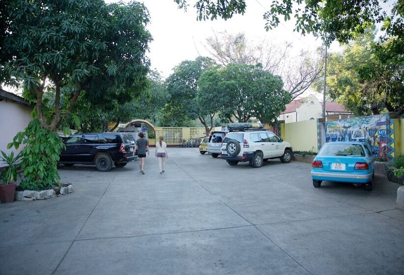 هاستل Jollyboys Backpackers